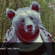 Illustration for article titled I Hope Bear Senpai Notices Me...